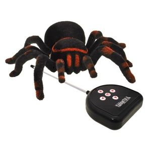 Pavúk tarantula na diaľkové ovládanie